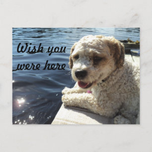 Wünschen Sie sich, Sie wären hier Postkarte? Postkarte