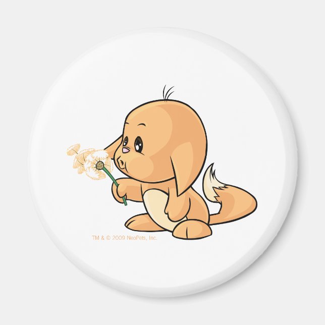 Wunschorange Kacheek Magnet (Vorne)