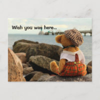 Wünscht, du wärest hier Teddybär?