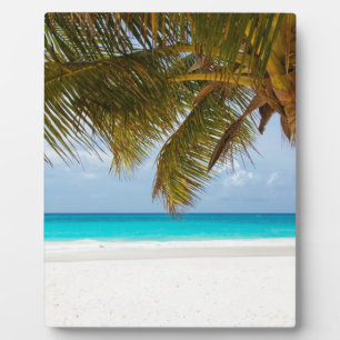 Wünscht, ihr wäret hier! fotoplatte