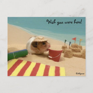 Wünscht, ihr wäret hier! postkarte