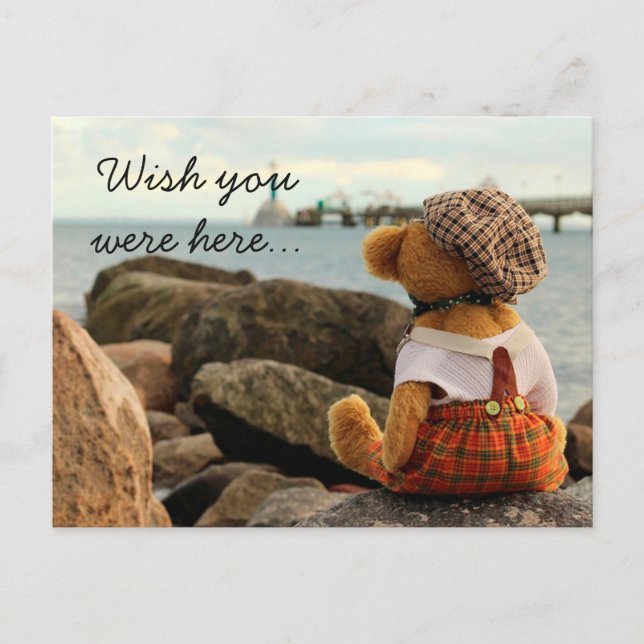 Wünscht, ihr wäret hier Teddy Bear? Postkarte (Vorderseite)