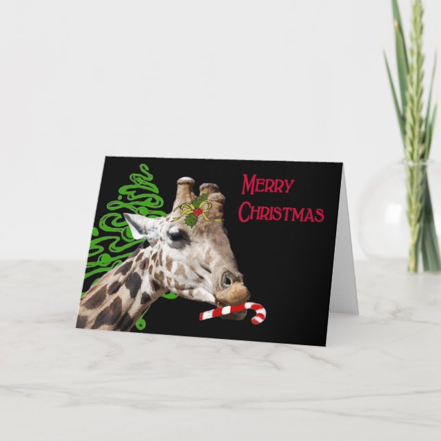 Wurde Sie mögen eine Zuckerstange? Feiertagskarte (Vorderseite)