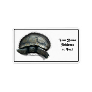WÜRDE TORTOISE KOMMT HERAUS! ADRESSAUFKLEBER