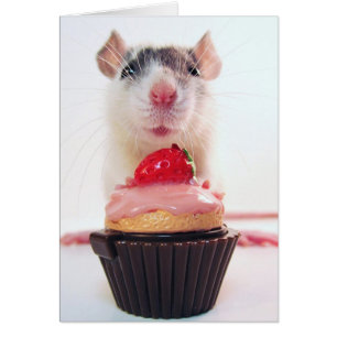 Wurde Yous mag eine Süßigkeit?