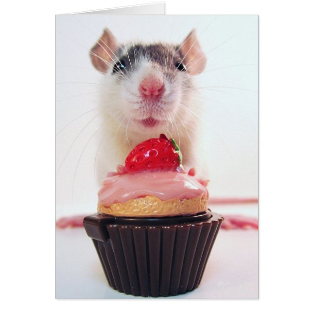 Wurde Yous mag eine Süßigkeit? (Vorne)