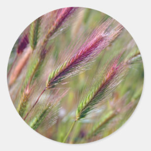 Würdevolle Fuchsschwänze Runder Aufkleber