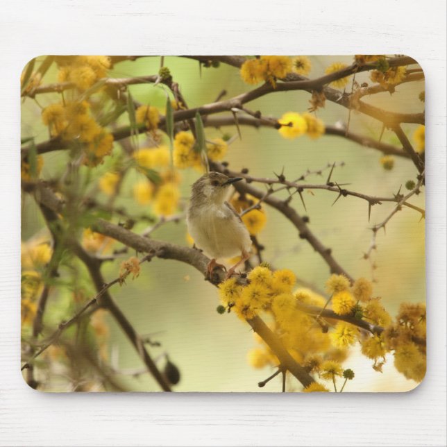 Würdevoller Prinia Mousepad (Vorne)