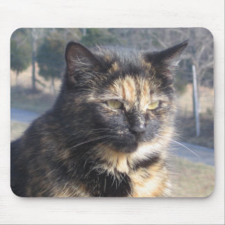 Würdige Katze Mousepad
