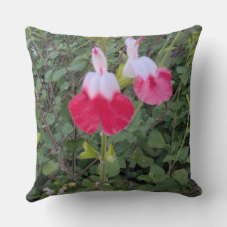 Wurfkissen-Blumenserie -Hot Lips salvia Kissen