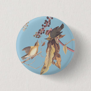 Wurm-Essen des Trällerer-Vogel-runden Knopfes Button
