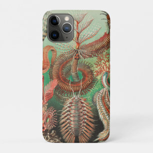 Würmer, Anneliden Chaetopoda von Ernst Haeckel Case-Mate iPhone Hülle
