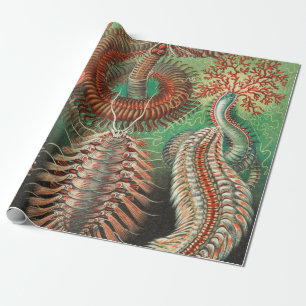 Würmer, Anneliden Chaetopoda von Ernst Haeckel Geschenkpapier