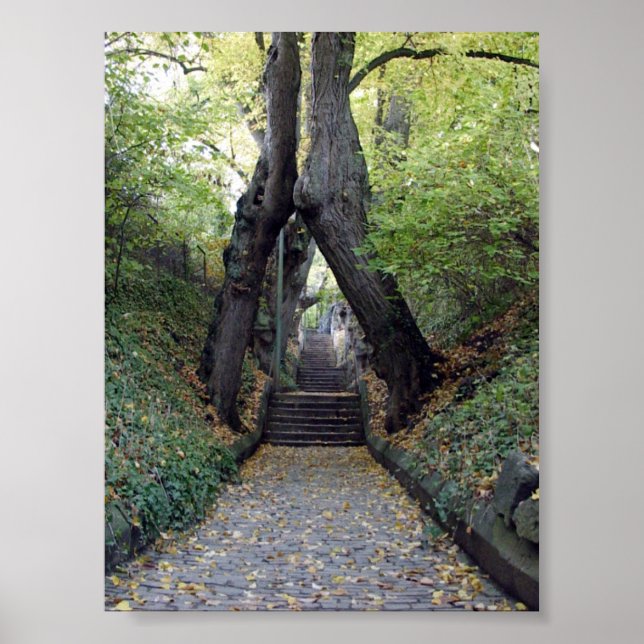 Wurzburg, Deutschland Poster (Vorne)