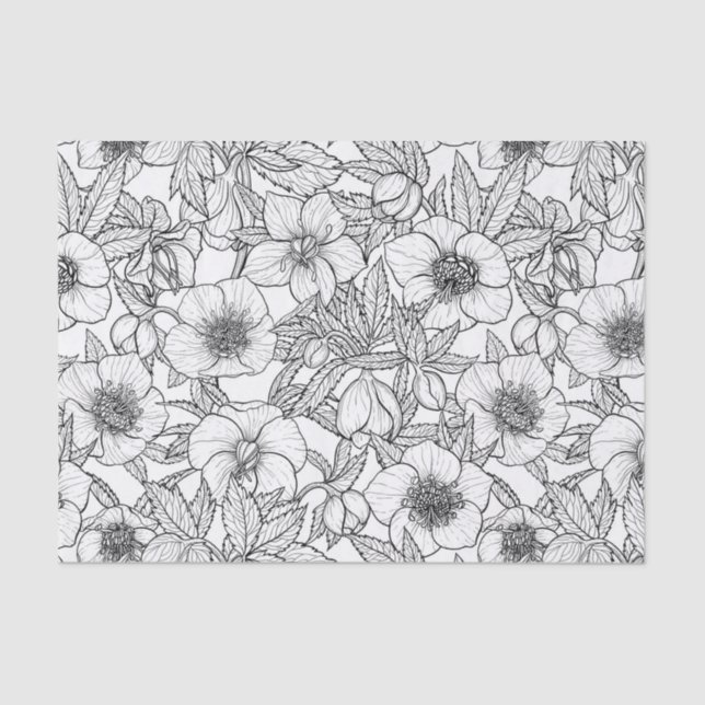 Wurzelbohrungen in Schwarzweiß Seidenpapier (Vorderseite)