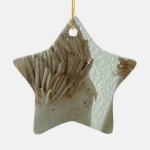 Wurzeln aus Lauch, Gemüse, gesundes, rohes weißes  Keramikornament