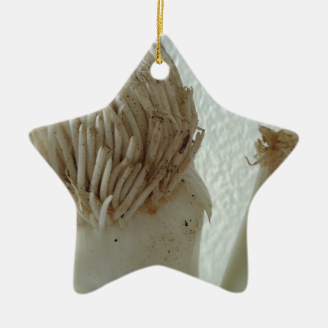 Wurzeln aus Lauch, Gemüse, gesundes, rohes weißes  Keramikornament (Vorne)