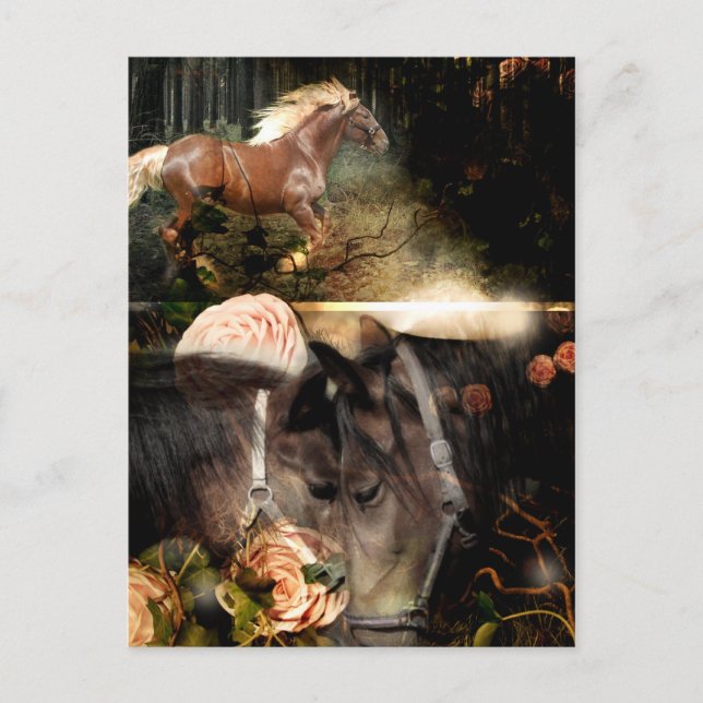 Wurzeln in Gottes Liebe Postkarte (Vorderseite)