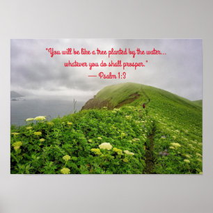 Wurzeln in Segnungen Poster