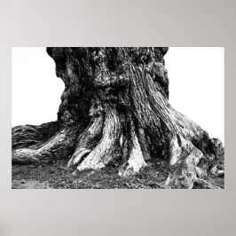 Wurzeln Poster