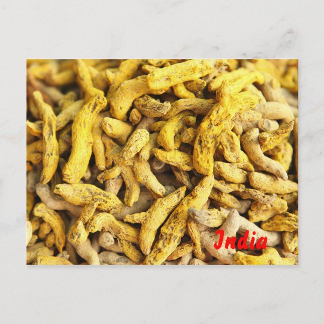 Wurzeln Postkarte (Vorderseite)