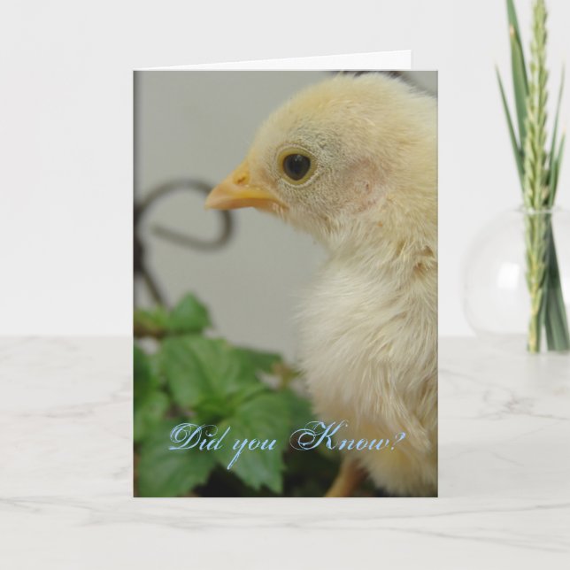 Wusstest Du? Ein heißer Schwanz, Geburtstag Karte (Vorderseite)