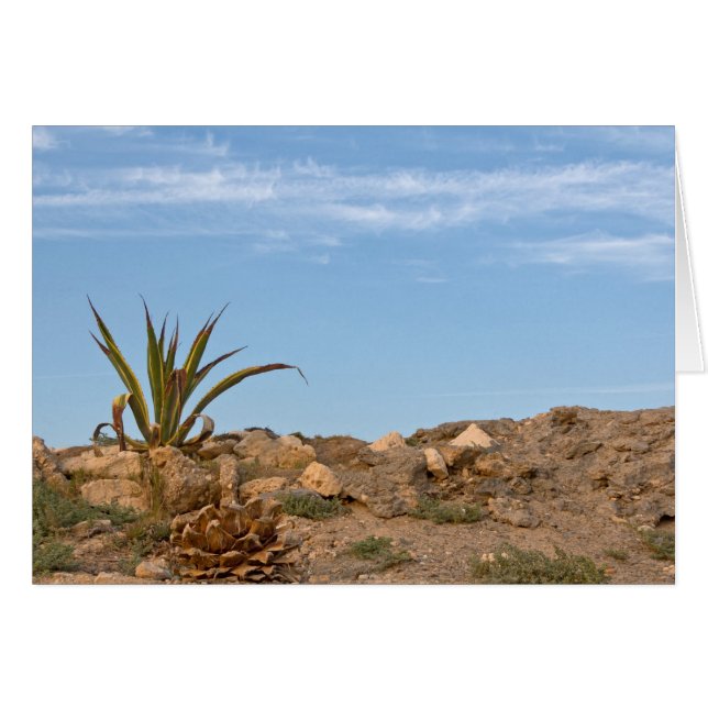 Wüste (Vorderseite (Horizontal))