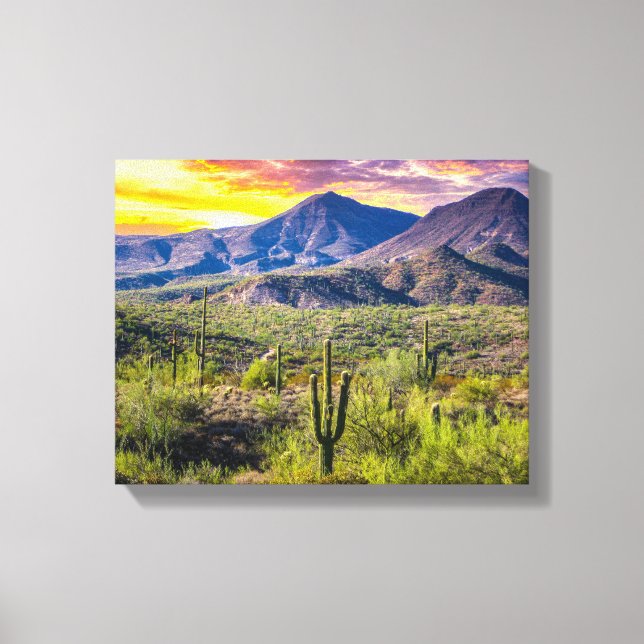 Wüste 2124-2-Arizona bei Sonnenuntergang Leinwanddruck (Vorderseite)