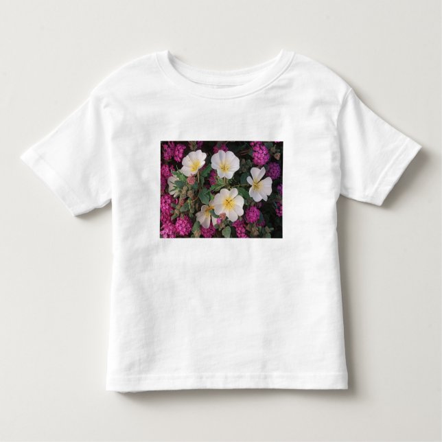 Wüste Abend Primrose und Wüste Sand Verbena, Kleinkind T-shirt (Vorderseite)