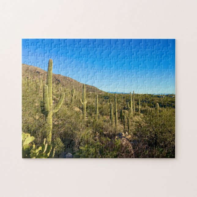 Wüste Arizona Puzzle (Horizontal)