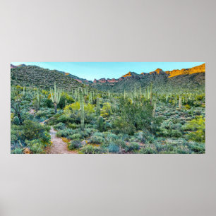 Wüste Arizona Wanderweg Saguaro Cactus Forest Poster