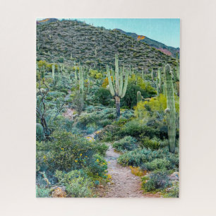 Wüste Arizona Wanderweg Saguaro Cactus Forest Puzzle
