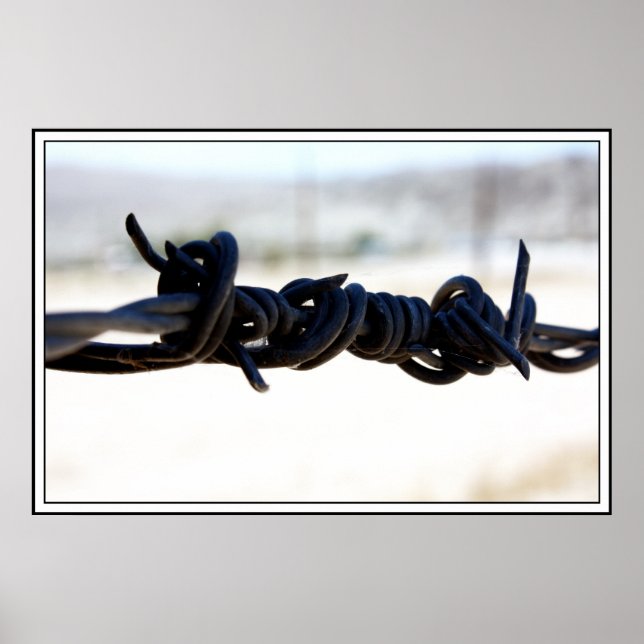 Wüste Barbed Wire Poster (Vorne)