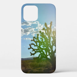 Wüste Beauty Case-Mate iPhone Hülle