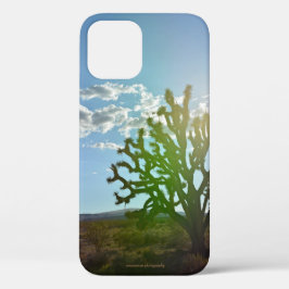 Wüste Beauty Case-Mate iPhone Hülle