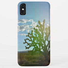 Wüste Beauty Case-Mate iPhone Hülle