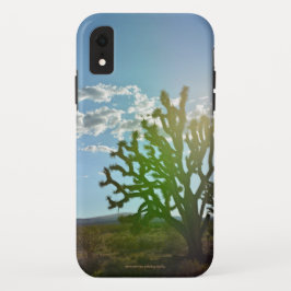 Wüste Beauty Case-Mate iPhone Hülle