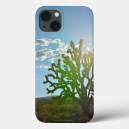 Wüste Beauty Case-Mate iPhone Hülle