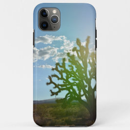 Wüste Beauty Case-Mate iPhone Hülle