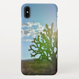 Wüste Beauty iPhone Hülle