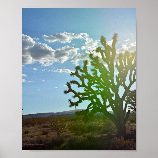 Wüste Beauty Poster (Vorne)