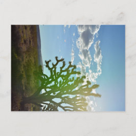 Wüste Beauty Postkarte