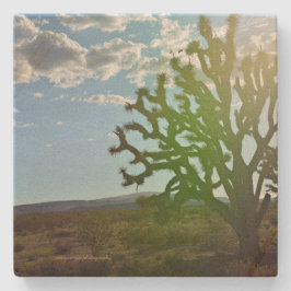 Wüste Beauty Steinuntersetzer