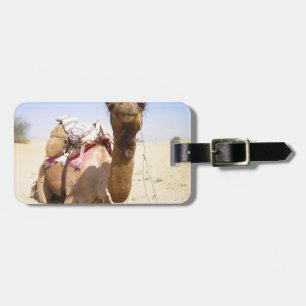 Wüste Camel Naher Osten Liebe Natur Schicksal Gepäckanhänger