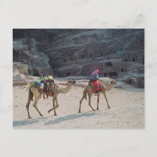 Wüste Camel Naher Osten Liebe Natur Schicksal Postkarte