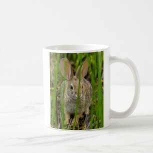 Wüste Cottontail Rabbit Tasse