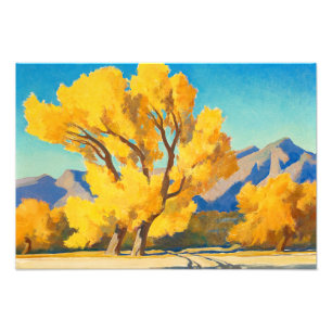 Wüste Cottonwood, Arizona von Maynard Dixon Fotodruck