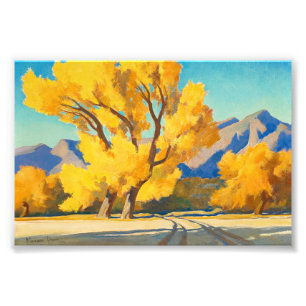 Wüste Cottonwood, Arizona von Maynard Dixon Fotodruck