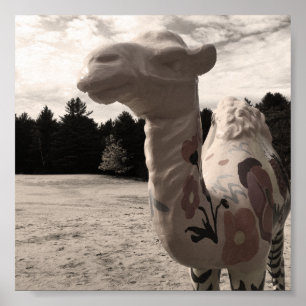 Wüste der Maine Poster