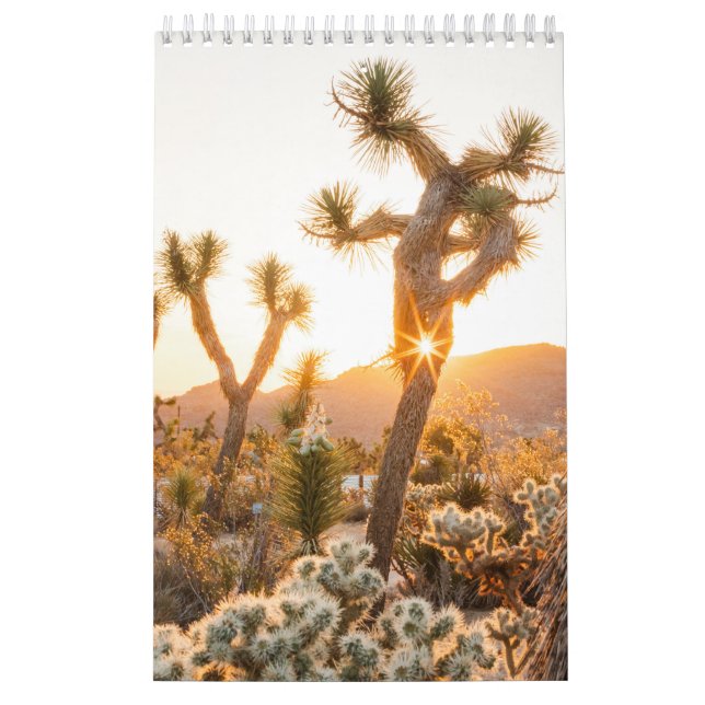 Wüste-Foto-Geschenk mit Kaktus Kalender (Titelbild)